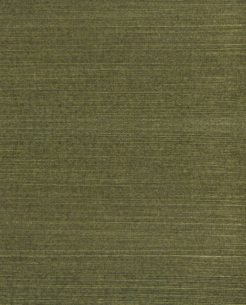 Grüne Papiertapete Schilfoptik Natural Wallcoverings 3 Eijffinger 303501