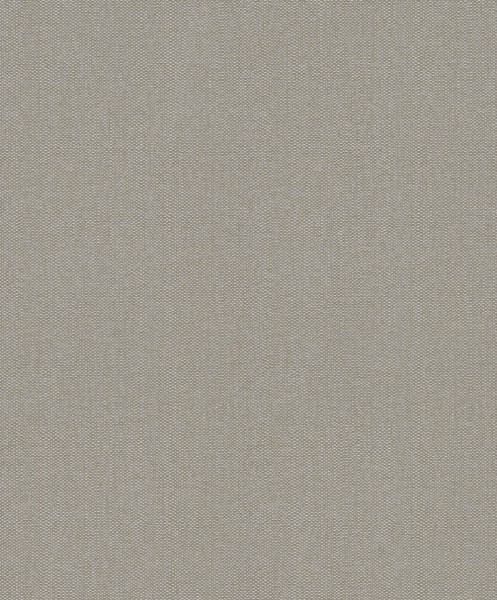 Rasch Textil Abaca 23-229195 strukturiert grau Vliestapete matt
