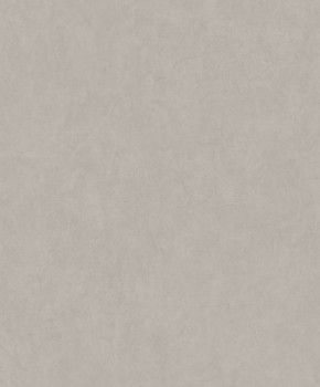 Uni Vliestapete beige Texdecor JDSP82381505