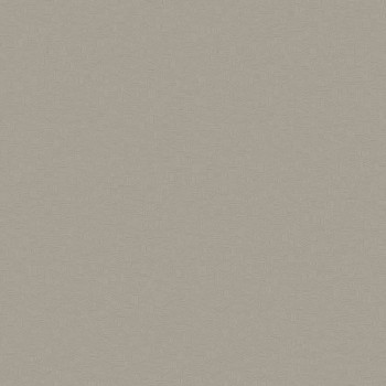 Muster Vliestapete grau Casadeco 82541508