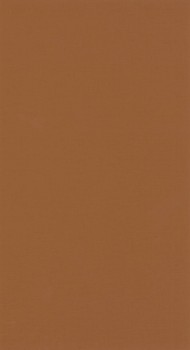 Netzoptik braun Tapete Caselio - Moonlight 2 Texdecor MLGT103762497