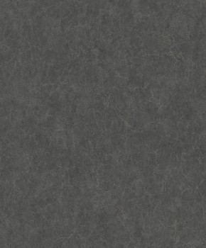 Schwarze Vliestapete Uni Texdecor JDSP84079422