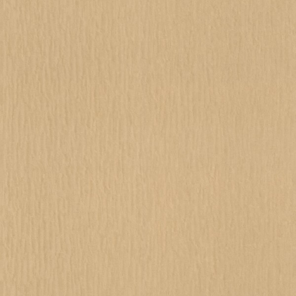 einfarbig Vinyltapete hell braun Trianon 13 Rasch 570076