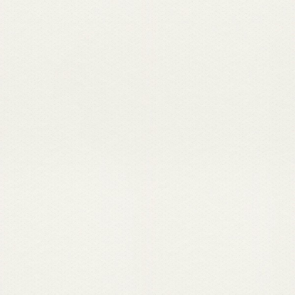 graphic pattern wallpaper white Petite Fleur 5 Rasch Textil 288840