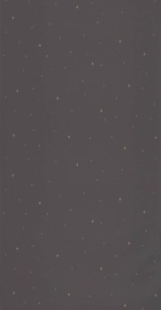 Schwarze Tapete Sternenhimmel Caselio - La Foret Texdecor FRT102969983