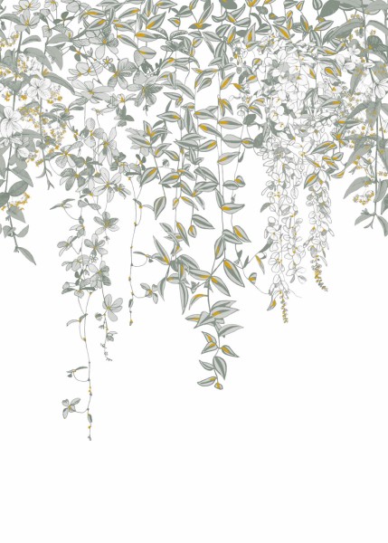 Green mural hanging tendrils Texdecor JDSP85277212