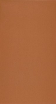 Kupferbraune Vliestapete Unisex Casadeco - Gallery GLRY25233307