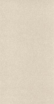 Putzoptik Cream Silber Vliestapete Mediterranee Casadeco MEDI84071202