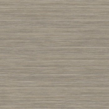 Uni Grau Vliestapete Casadeco 81359420