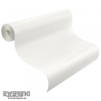 Glattvlies Profi 120 g/m² 10,05m x 0,53m