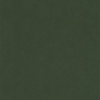 Plain dark green wallpaper Caselio - Labyrinth Texdecor LBY64527370