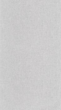 Meliertes Muster grau Vliestapete Caselio - Moonlight 2 Texdecor MLGT103229899
