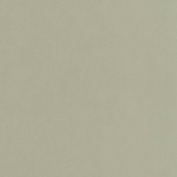 Sage green non-woven wallpaper Uni Caselio - Labyrinth Texdecor LBY64527210