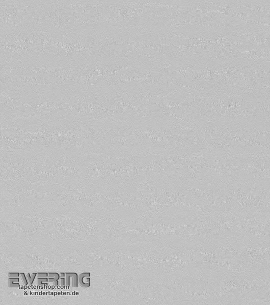 Rasch African Queen 2 7-474244 Uni Vlies-Tapete Flur hell-grau