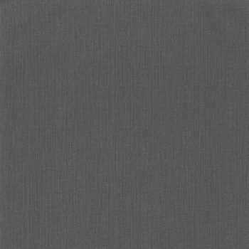 Stoffartige Haptik anthrazit Tapete Caselio - Moonlight 2 Texdecor MLGT101569582