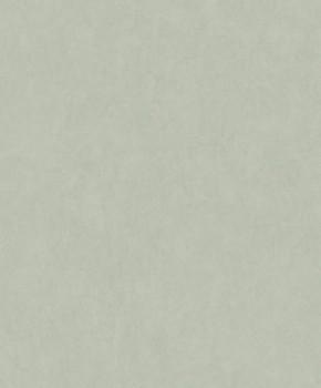 Uni Grün Vliestapete Texdecor JDSP82387117