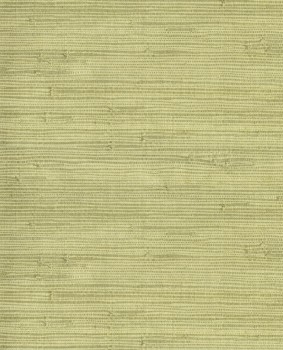 Natur Motive Papiertapete pastell grün Natural Wallcoverings 3 Eijffinger 303502
