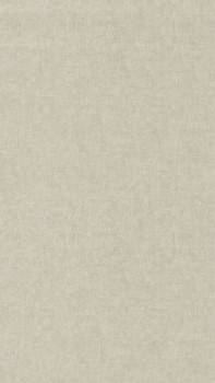 Leichte Struktur Grau Vliestapete Casadeco - Ginkgo Texdecor GINK81911353