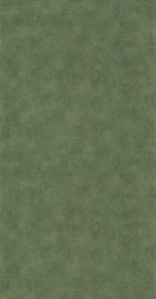 Blattspreite grün Goldmuster Tapete Woods 26217505