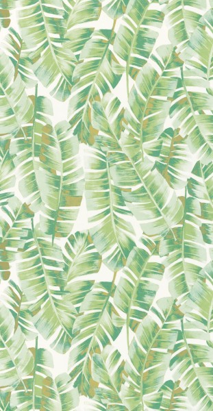 Federoptik Grün Vliestapete Casadeco - Botanica Texdecor BOTA85947340