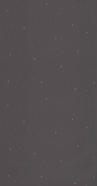 Schwarze Tapete Sternenhimmel Caselio - La Foret Texdecor FRT102969983