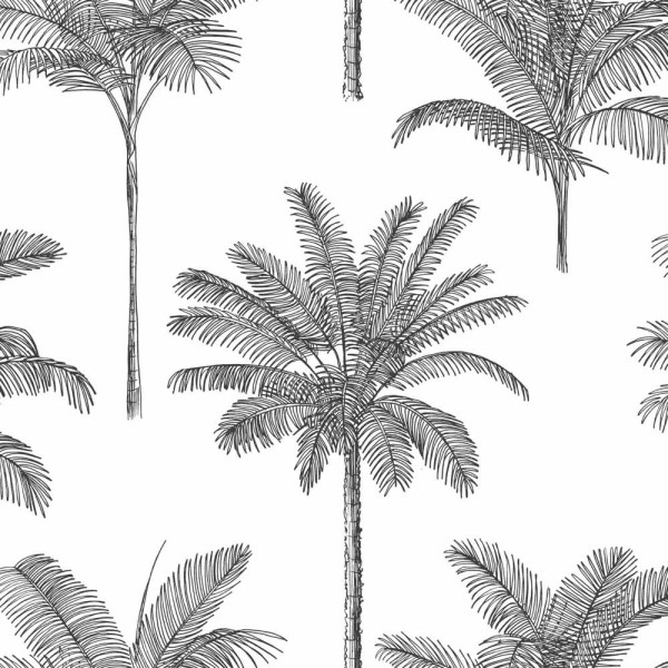 Palm tree look white Paradise 139162