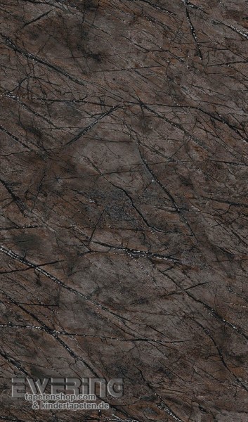 7-474008 African Queen 2 Rasch dunkel-braun Marmor Vliestapete