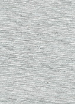 Silbere Tapete fein gewebte Naturfasern Vista 6 Rasch Textil 213972