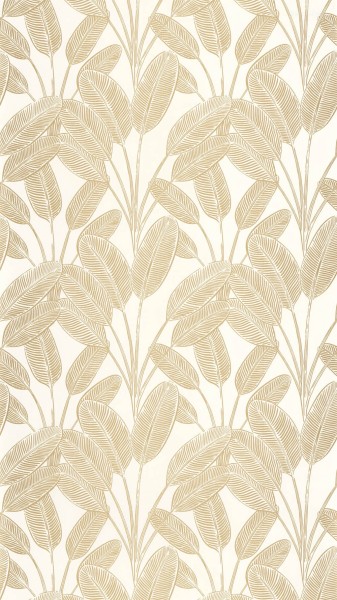 Feine goldene Linien weiß Vliestapete Caselio - Moonlight 2 Texdecor MLGT104320247