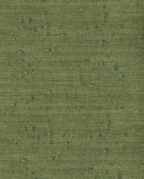 Natur Motive Papiertapete grün Natural Wallcoverings 3 Eijffinger 303514